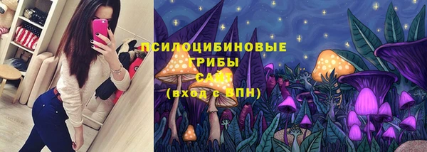 марки lsd Заводоуковск